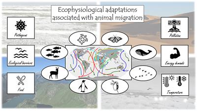 Editorial: Ecophysiological adaptations associated with animal migration